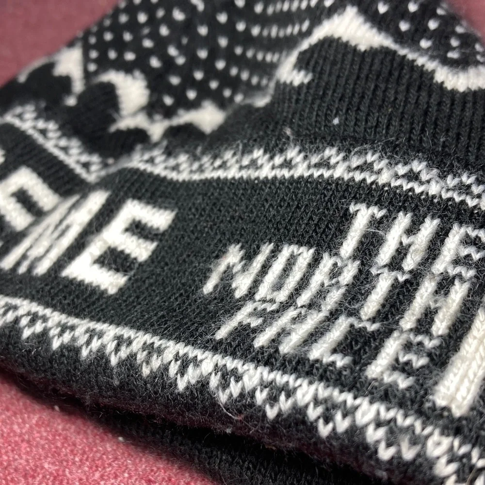 NORTH FACE X SUPREME Beanie - Picture 10 of 15